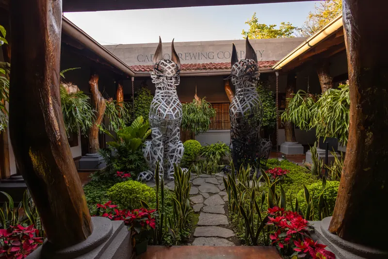Garden courtyard at Cadejo Montaña